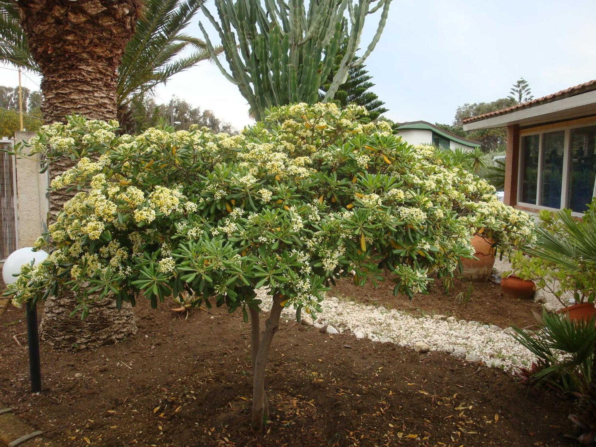Villa Cetta B&B San Leone Exterior foto